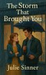 The Storm That Brought You (eBook, ePUB) - Bild 1