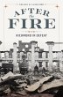 After the Fire (eBook, ePUB) - Bild 1