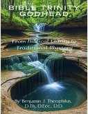 BIBLICAL TRINITY GODHEAD From Biblical Clarity to Traditional Mystery (eBook, ePUB)