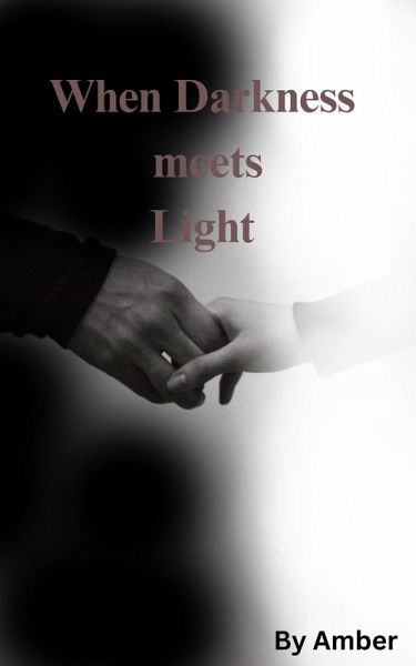 When Darkness meets Light (eBook, ePUB)