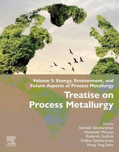 Cover Treatise on Process Metallurgy (eBook, ePUB)
