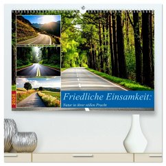 Cover Friedliche Einsamkeit: Natur in ihrer stillen Pracht (hochwertiger Premium Wandkalender 2026 DIN A2 quer), Kunstdruck in Hochglanz
