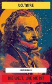 Die Welt, wie sie ist (eBook, ePUB) Die Welt, wie sie ist (eBook, ePUB)