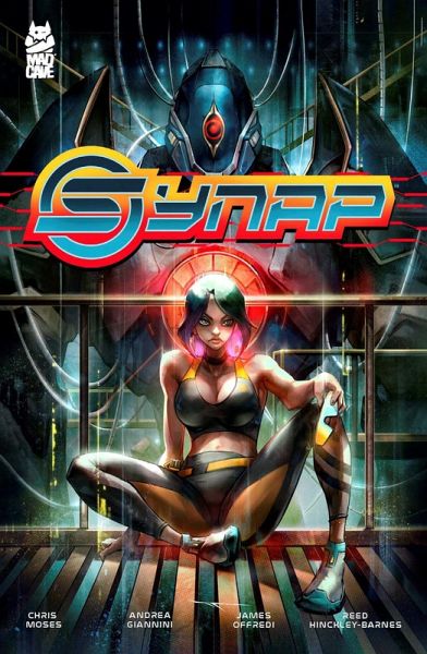 Synap (eBook, ePUB)