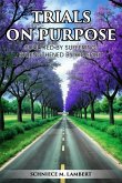 Trials on Purpose: Sculpted by Suffering, Strengthened by His Spirit (eBook, ePUB) Trials on Purpose: Sculpted by Suffering, Strengthened by His Spirit (eBook, ePUB)