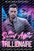 My Secret Affair with the Trillionaire My Secret Affair with the Trillionaire