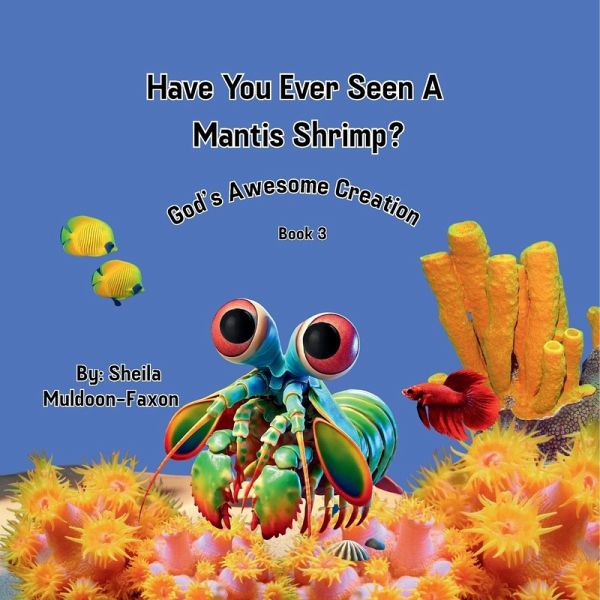 Have You Ever Seen A Mantis Shrimp?