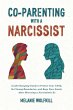 Co-Parenting With a Narcissist - Bild 1