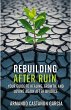 Rebuilding After Ruin: Your Guide to... - Bild 1