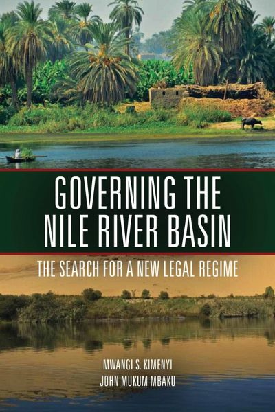 Governing the Nile River Basin (eBook, PDF)