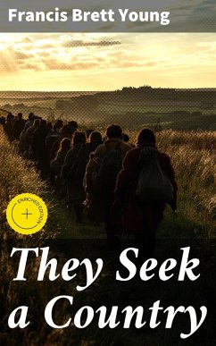 Cover They Seek a Country (eBook, ePUB)
