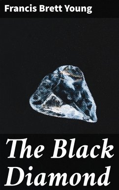 Cover The Black Diamond (eBook, ePUB)