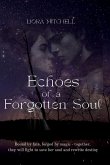 Echoes of a Forgotten Soul