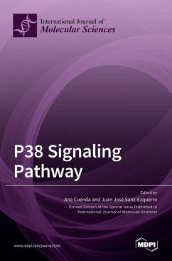 Cover P38 Signaling Pathway