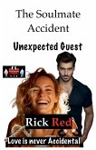 The Soulmate Accident - Unexpected Guest The Soulmate Accident - Unexpected Guest