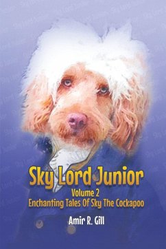 Cover Sky Lord Junior