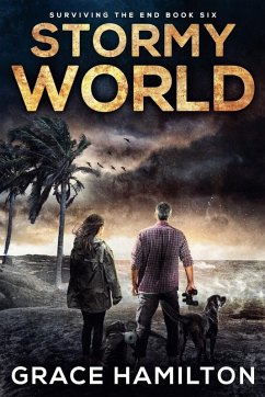 Cover Stormy World