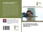 LE CHEMIN SCOLAIRE SINUEUX D'UN ENFANT ORPHELIN