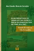 As Metamorfoses Do Trabalho E No Espaço A Partir Da Dende
