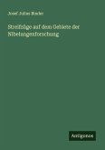 Streifzüge auf dem Gebiete der Nibelungenforschung