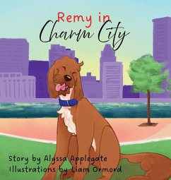 Cover Remy in Charm City