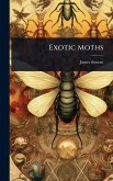 Exotic Moths Exotic Moths