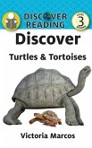 Discover Turtles & Tortoises