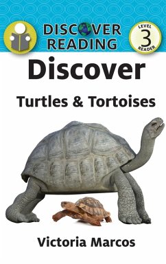 Cover Discover Turtles & Tortoises