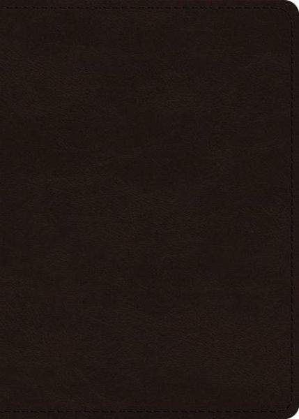 ESV Large Print Value Personal Size Bible (Trutone, Deep Brown) ESV Large Print Value Personal Size Bible (Trutone, Deep Brown)