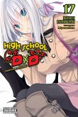 High School DXD, Vol. 17 (Light Novel)