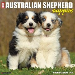 Cover Australian Shepherd Puppies 2026 12 X 12 Wall Calendar