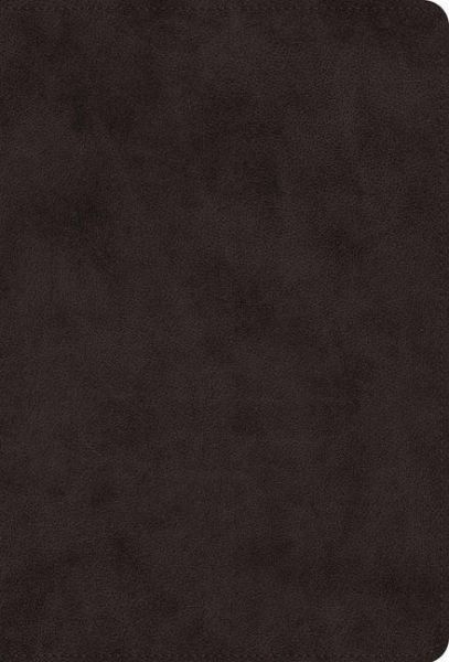 ESV Giant Print Value Thinline Bible (Trutone, Black) ESV Giant Print Value Thinline Bible (Trutone, Black)
