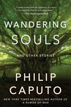 Cover Wandering Souls