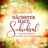 Nächster Halt, Schicksal (MP3-Download) Nächster Halt, Schicksal (MP3-Download)