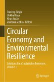 Circular Economy and Environmental Resilience (eBook, PDF)