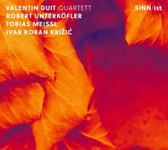 Cover Sinn/Ist