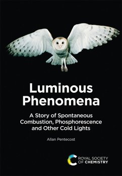 Cover Luminous Phenomena (eBook, ePUB)