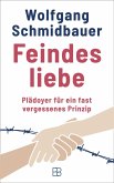 Feindesliebe (eBook, ePUB) Feindesliebe (eBook, ePUB)