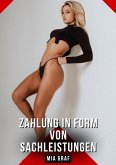 Zahlung in Form von Sachleistungen (eBook, ePUB)