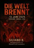 Die Welt brennt - 13. Juni 2025 Ukraine Israel USA Die Welt brennt - 13. Juni 2025 Ukraine Israel USA