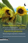 Meristemos apicales, una técnica de propagación in vitro útil en procesos de conservación de Espeletia paipana. (eBook, ePUB) Meristemos apicales, una técnica de propagación in vitro útil en procesos de conservación de Espeletia paipana. (eBook, ePUB)