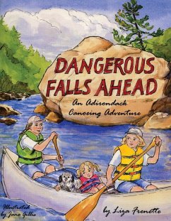 Cover Dangerous Falls Ahead