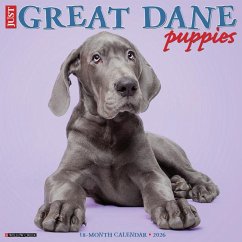 Cover Great Dane Puppies 2026 12 X 12 Wall Calendar