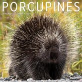 Porcupines 12 X 12 Wall Calendar Porcupines 12 X 12 Wall Calendar
