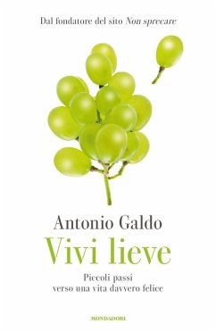 Cover Vivi lieve. Piccoli passi verso una vita davvero felice