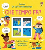 Che tempo fa?