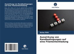 Cover Auswirkung von Randbedingungen auf eine Filamententladung