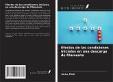 Efectos de las condiciones iniciales en una descarga de filamento