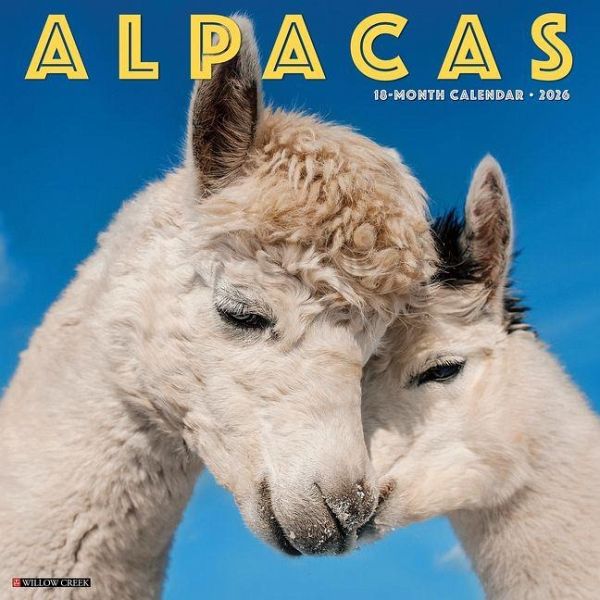 Alpacas 2026 12 X 12 Wall Calendar Alpacas 2026 12 X 12 Wall Calendar
