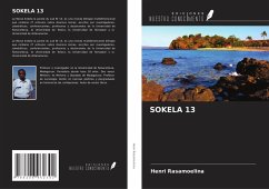 Cover SOKELA 13